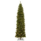10 ft. Pre-Lit North Valley Spruce Pencil Slim Tree with Clear Lights, Plug-In