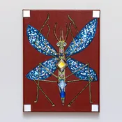 African Mosquito