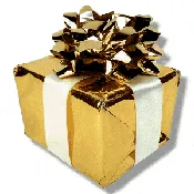 $100 Gift Certificate