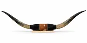 Authentic USA Made Mounted Steer Horns (38.5" Span)