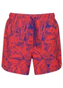 Azure Flower Shorts
