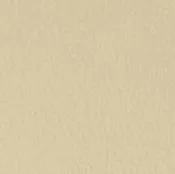 22 Longlife Rustika Kreide Leather Swatch