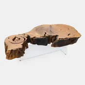 Bahia Pequi Wood and White Metal Base Coffee Table