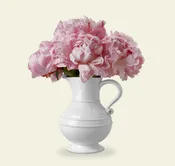 1508 Pitcher