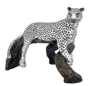 Leopard on a Log