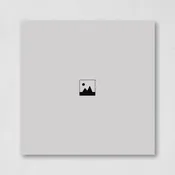 10 x 10 Acrylic Print