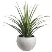 53" Dracaena in Fiber Cement Planter Green