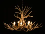 12 Antler, 8 Light Mule Deer Antler Chandelier