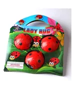 LADY BUGS - Freedom First Fireworks