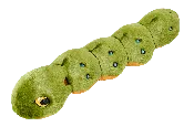Fluff &amp; Tuff Katie Caterpillar