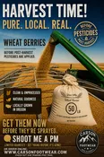 Wheat