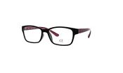 3056 — New Millennium Eyewear
