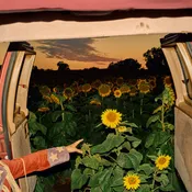 [05/15] Kevin Morby - Little Wide Open [PRE-ORDER]