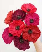 POSTPONED: Crepe Paper Poppies with Kristin Joiner from Bess Paper Goods — Paper Wings