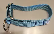 Collar – Alaskan 1″ Turquoise Small  CLEARANCE
