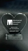 Acrylic Big Heart Engraved or Full-Color Trophy (THREE SIZES)