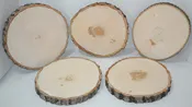 Aspen Wood Slice 11" to 12" diameter x .68 to 1" thick Small to Wholesale Packages