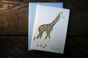 “It’s a Boy!” Giraffe