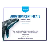 Humpback Whale Certificate Adoption