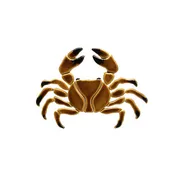 Brown Crab 7"
