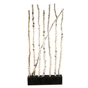 7 BIRCH SCREEN