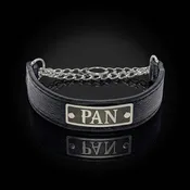 1.5" Wide Silver Martingale Chain Nameplate Dog Collar (LM8N)