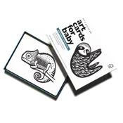 Art Cards for Baby (Rainforest)