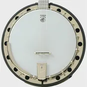 Artisan Two Goodtime 19-Fret Tenor Banjo