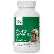 Active Mobility