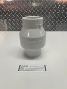 2" Check Valve
