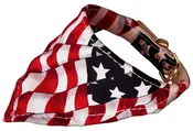 AMERICA THE BEAUTIFUL BANDANA COLLARS PATRIOTIC 14