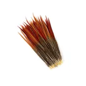 10 PC/PKG  Golden Pheasant Red Top Tails  10-12"- Natural