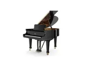 FAZIOLI F156 (5'2")