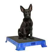 CATO OUTDOORS - Cato Board Dog Training Platform