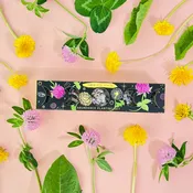 Abundance Moon Phase Planting Set
