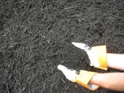 Black Mulch