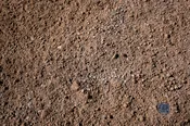 Topsoil