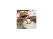 Bearded Dragon – 5