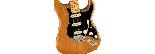 Am Pro II Strat  Roasted Pine