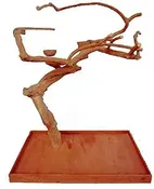 AE500M Med Java Table Top Stand