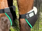 Click Hock Shield