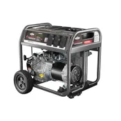 Briggs & Stratton 6250 Watt Portable Generator Storm Responder