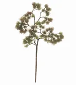 16" Pine Stem