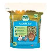 Alfalfa