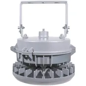 100 Watt Round Explosion Proof LED Light | 14000 Lumens | Class 1 Div 2 | 5000K | 100-277V | Optional 10 Year Warranty