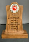 MINI STATE CHAMPION TROPHY (9”)