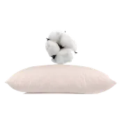 AllergyCare™ Organic Cotton Pillow Encasing