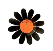 Vinyl Record Art Daisy Flower, Large