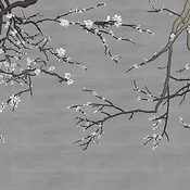 Asia Blossom Plum-Almond Branches Mural