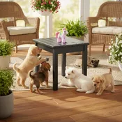 50ETBF Black End Table